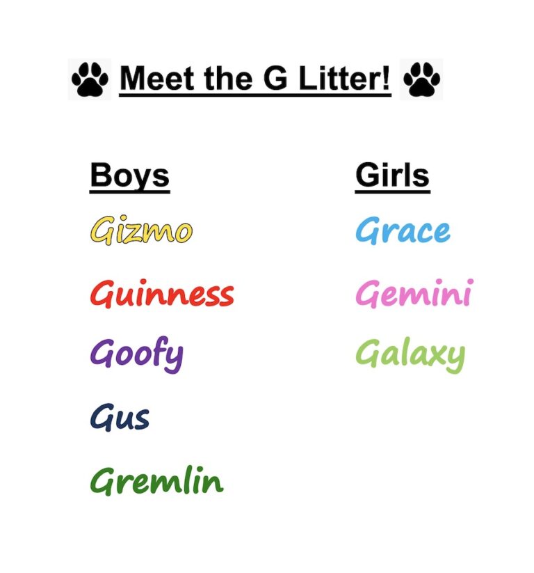 Meet the G Litter for website