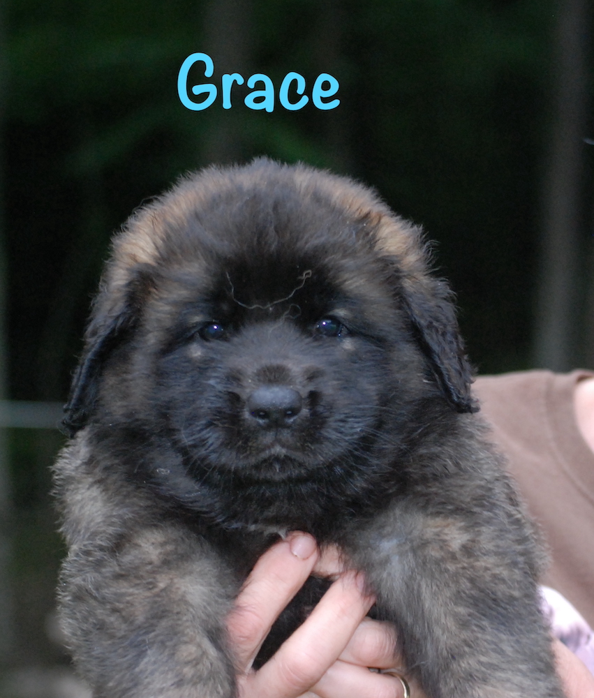 Grace - 5 weeks for website