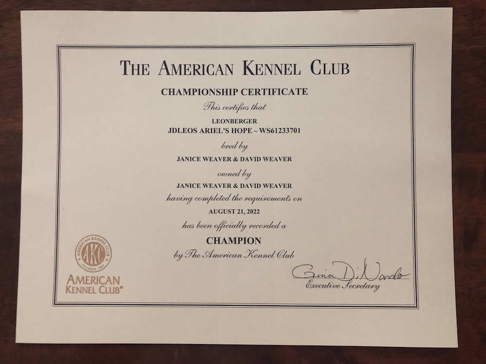 Ariel AKC Champion Certificate