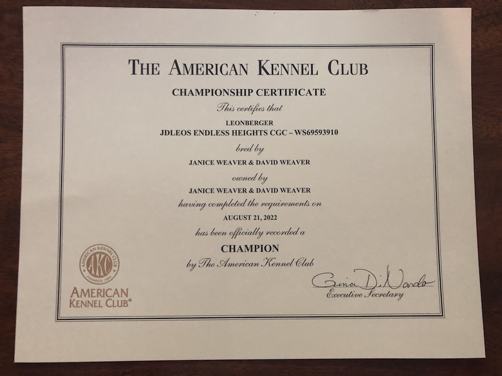 Everest AKC Champion Certificate