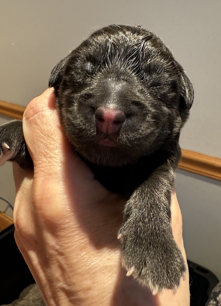 IMG_1127 for website IMG_1127 for website