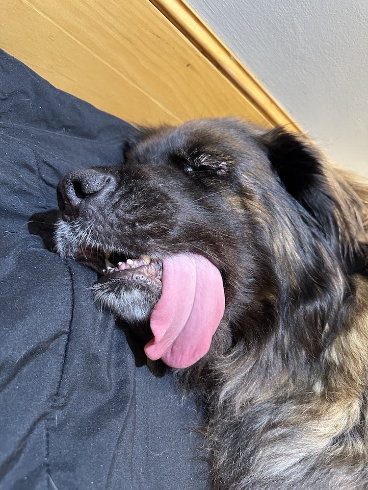 IMG_1147 for website IMG_1147 for website