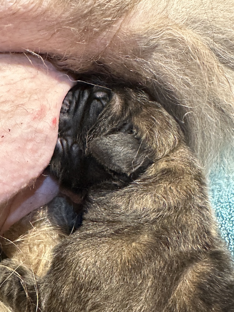 IMG_1155 for website IMG_1155 for website