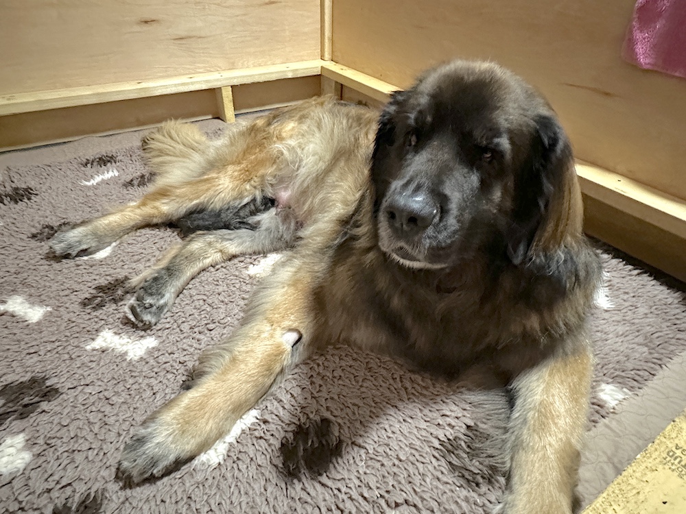 IMG_1159 for website IMG_1159 for website