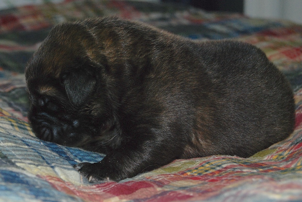 DSC_3950 for website DSC_3950 for website