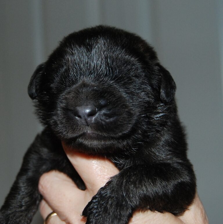 DSC_3951 for website DSC_3951 for website