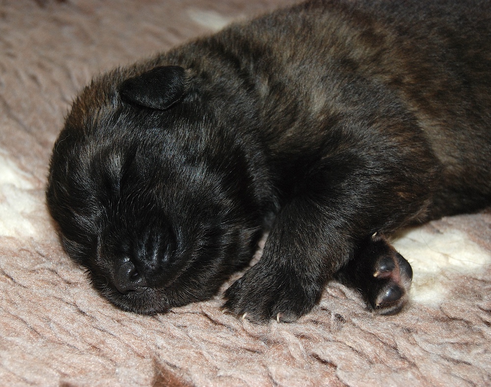 DSC_3978 for website DSC_3978 for website