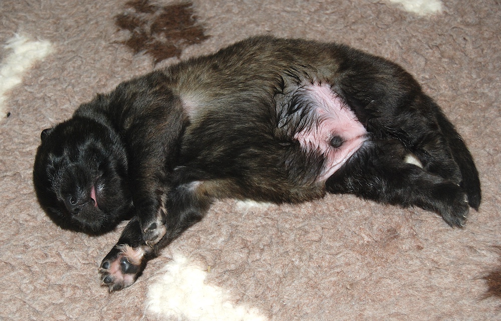 DSC_3981 for website DSC_3981 for website