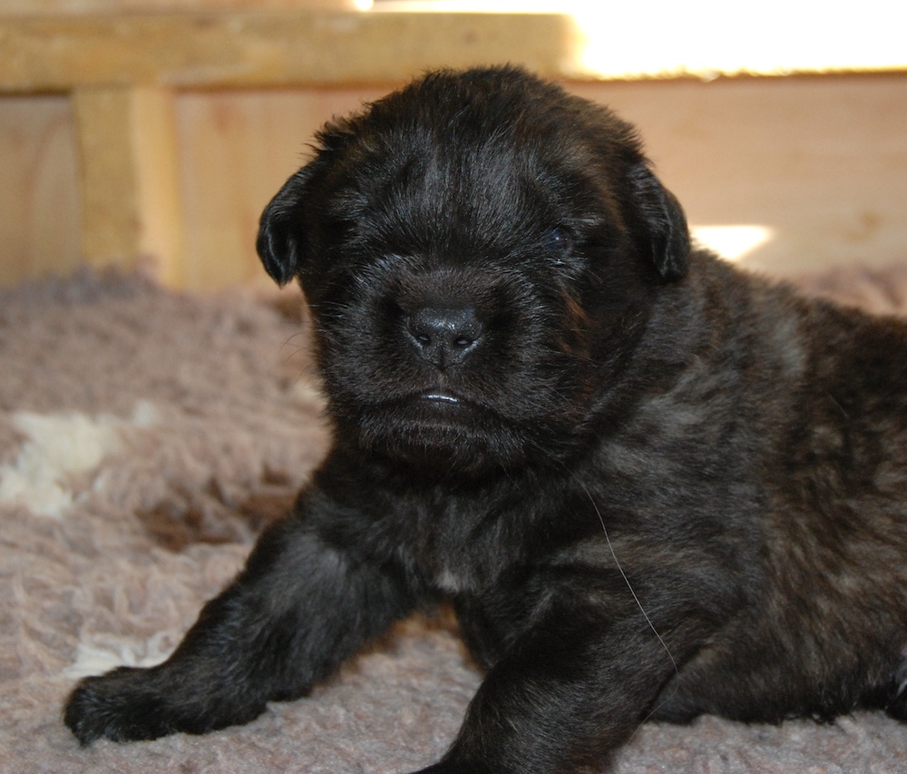 DSC_4031 for website DSC_4031 for website