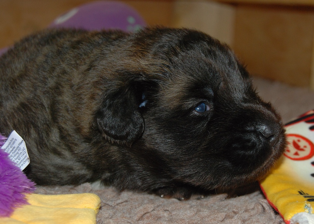 DSC_4037 for website DSC_4037 for website