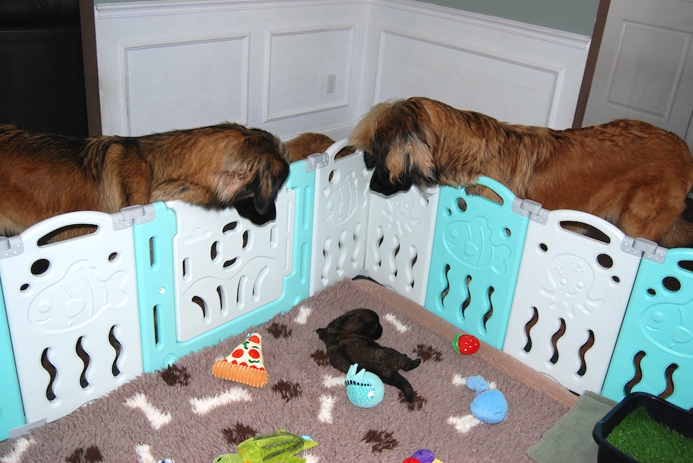 DSC_4062 for website DSC_4062 for website