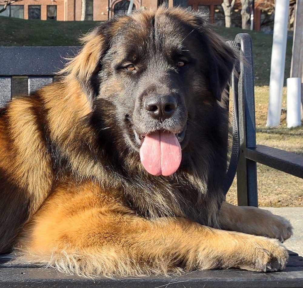 Clayton face 2 for website