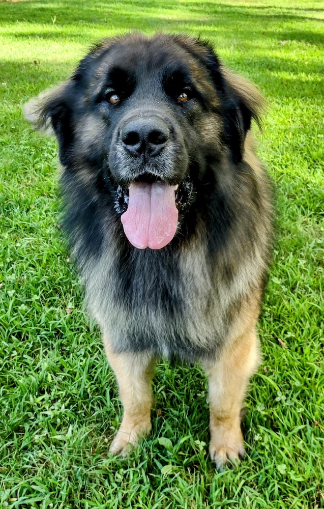 Clayton front for website