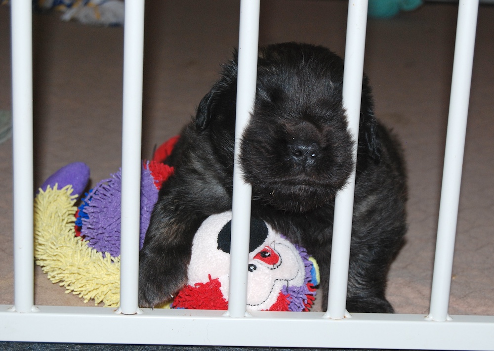 DSC_4074 for website DSC_4074 for website