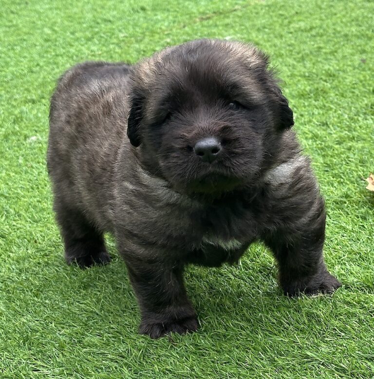 IMG_1238 for website IMG_1238 for website