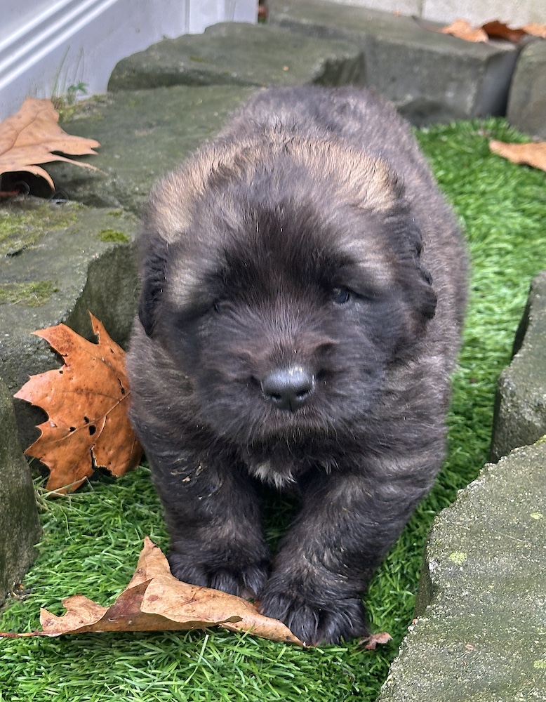 IMG_1248 for website IMG_1248 for website