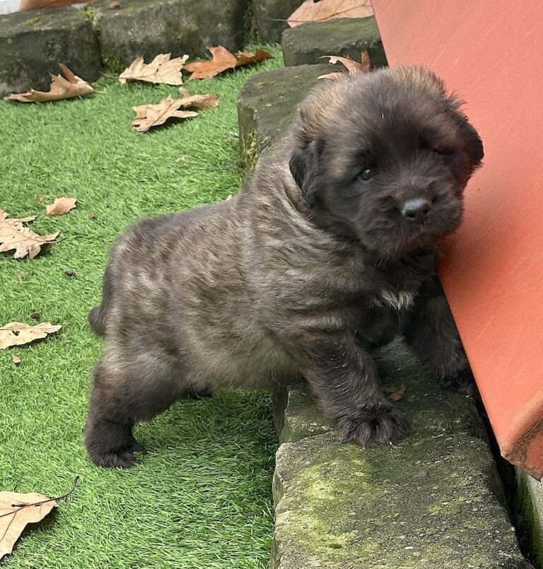 IMG_1251 for website IMG_1251 for website