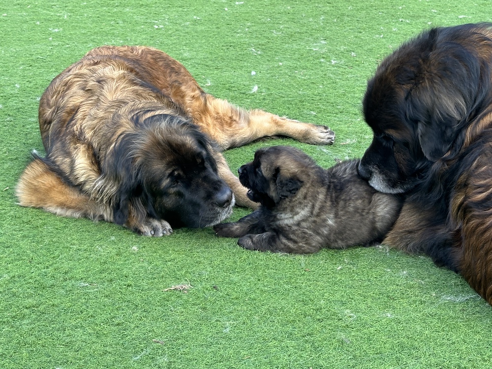 IMG_1282 for website IMG_1282 for website