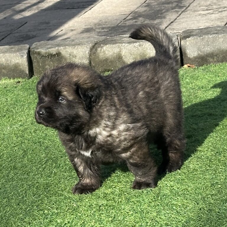 IMG_1297 for website IMG_1297 for website