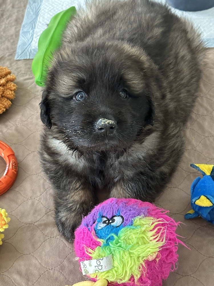 IMG_1405 for website