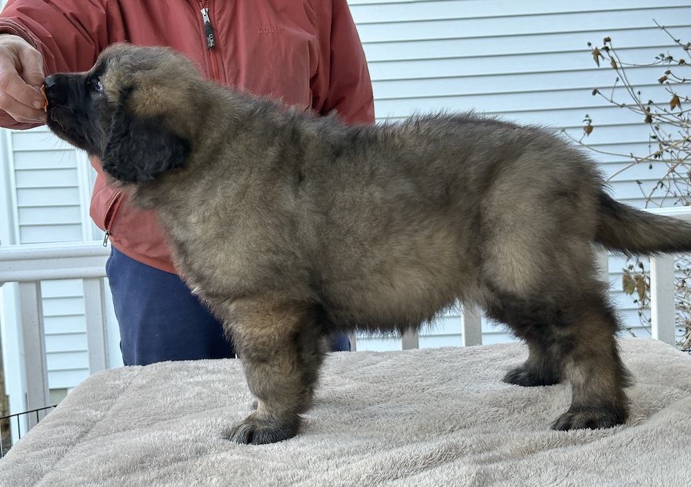 IMG_1465 for website