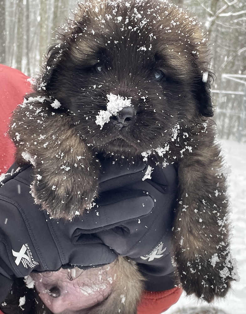 IMG_7311 for website IMG_7311 for website