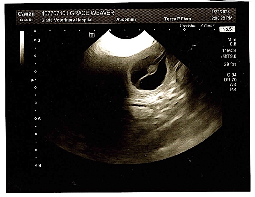 Screenshot Screenshot