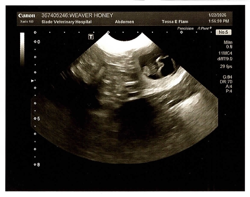 Screenshot Screenshot