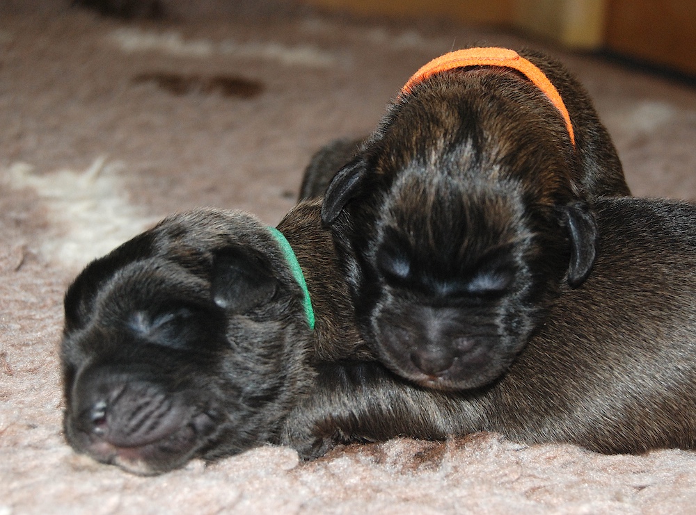 DSC_4108 for website