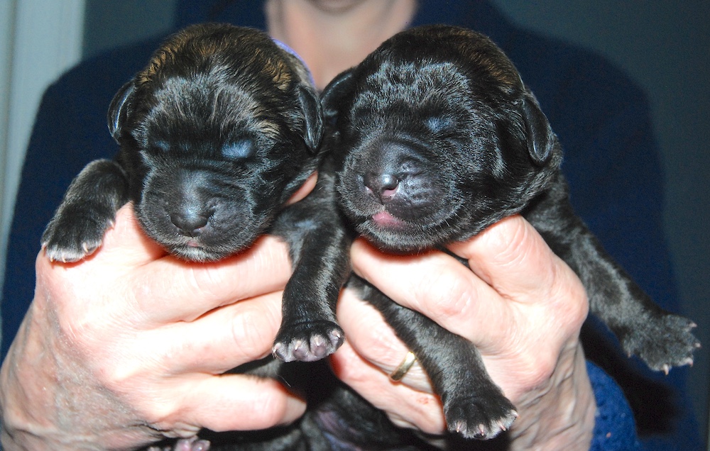 DSC_4132 for website