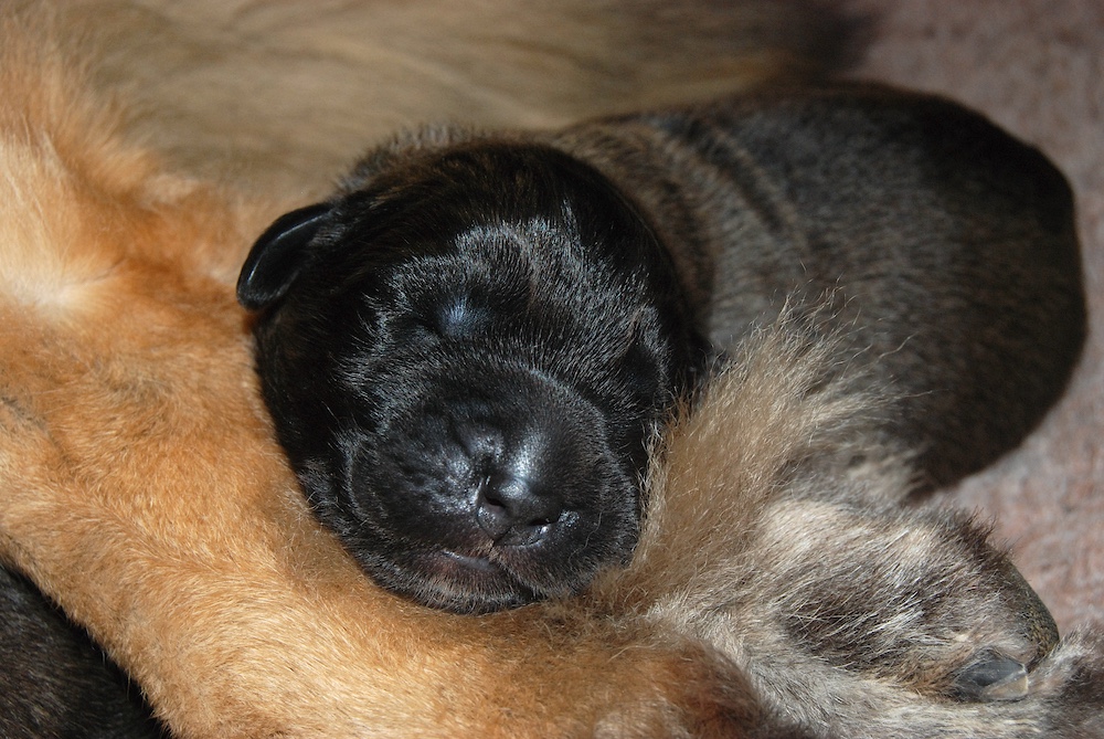 DSC_4169 for website