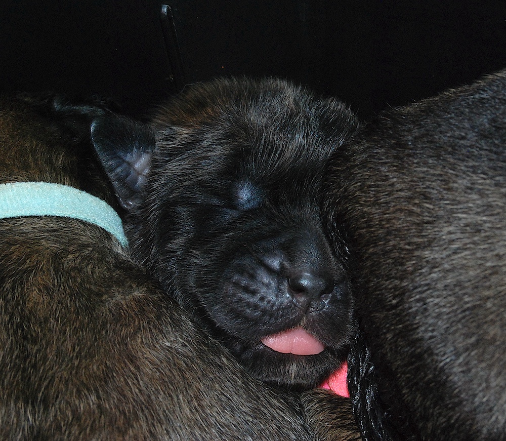 DSC_4172 for website