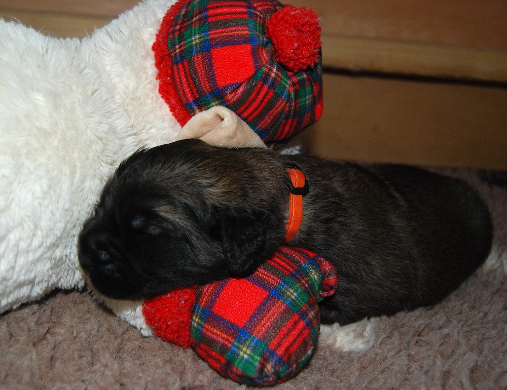 DSC_4333 for website DSC_4333 for website