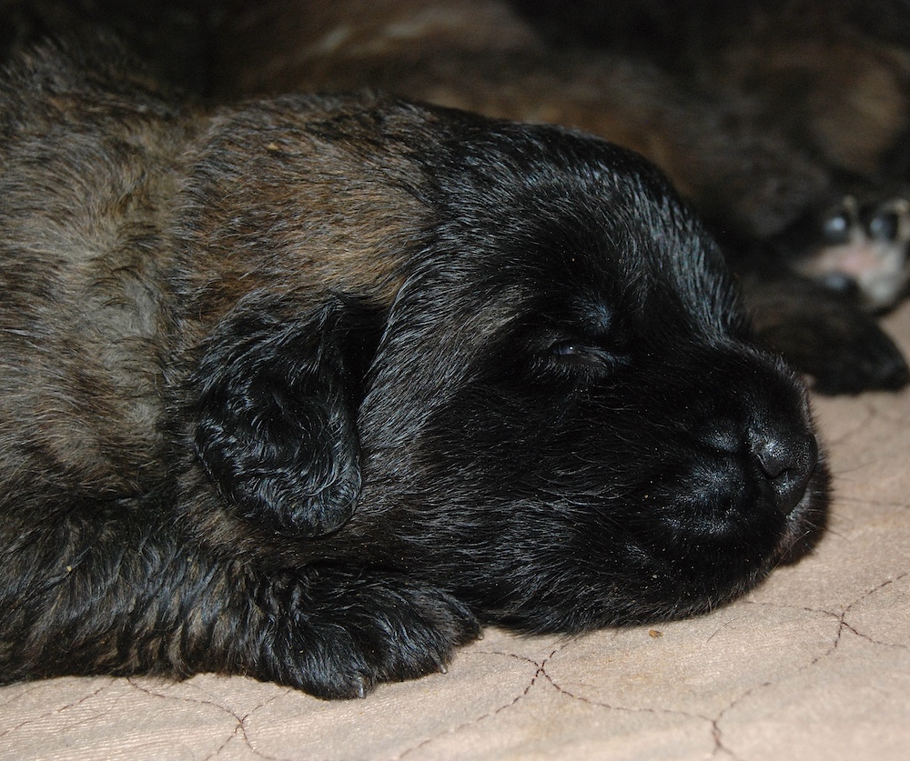 DSC_4339 for website DSC_4339 for website