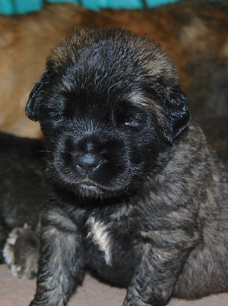 DSC_4382 for website DSC_4382 for website