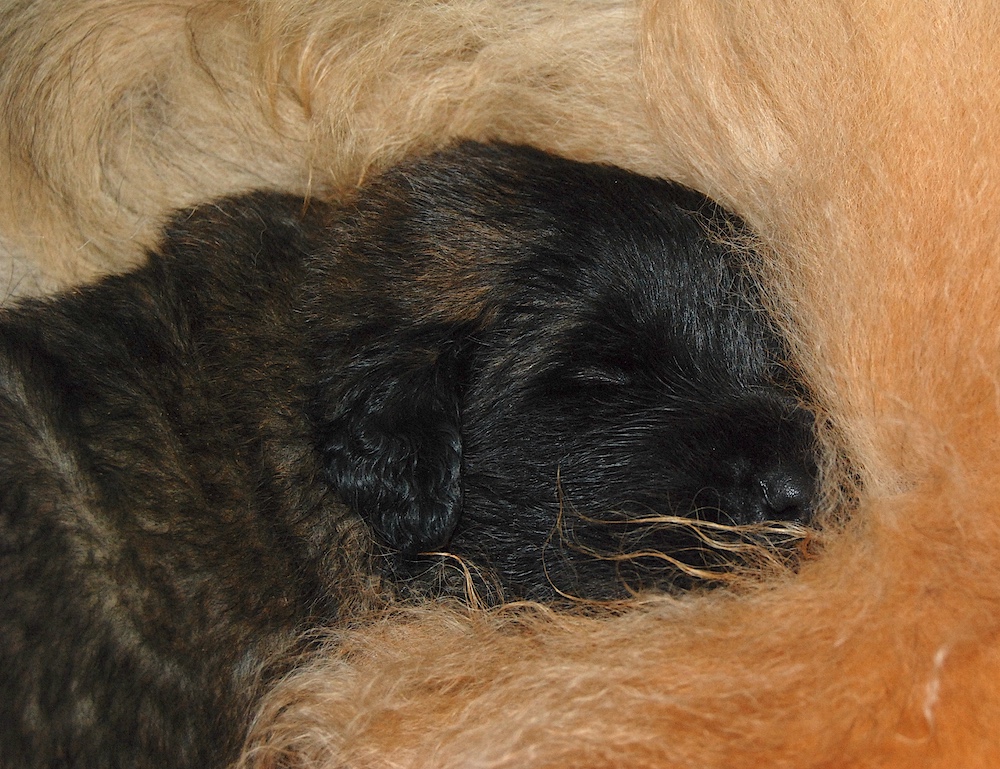 DSC_4394 for website DSC_4394 for website