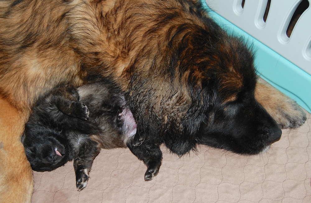 DSC_4400 for website DSC_4400 for website