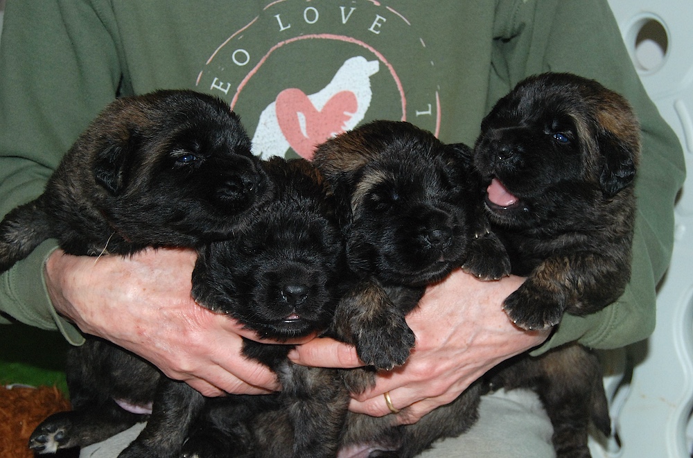 DSC_4422 for website DSC_4422 for website