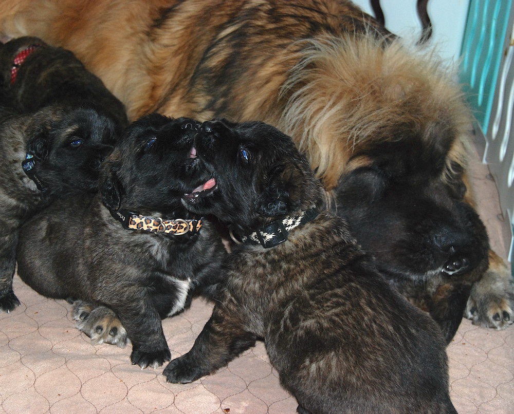 DSC_4432 for website DSC_4432 for website