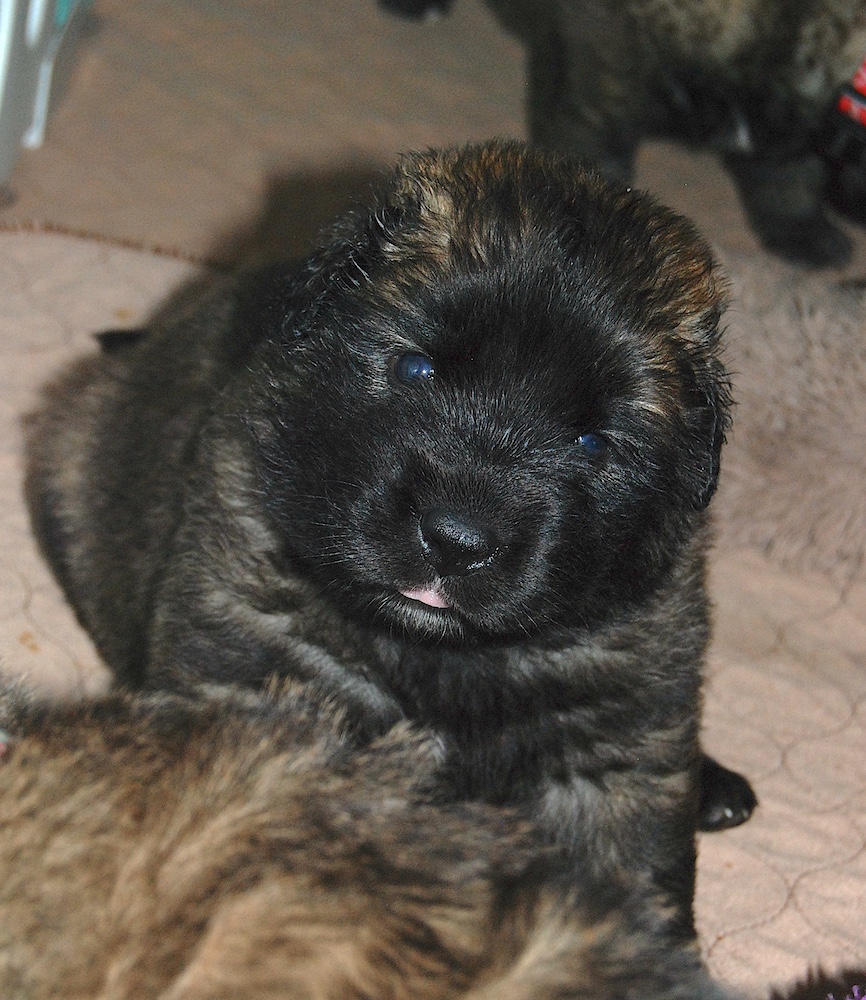 DSC_4439 for website DSC_4439 for website