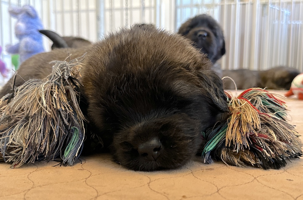 IMG_1904 for website IMG_1904 for website