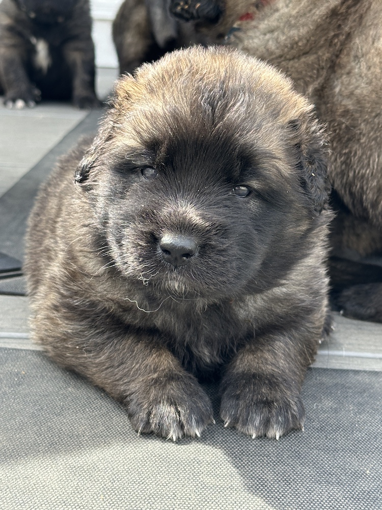 IMG_1923 for website IMG_1923 for website