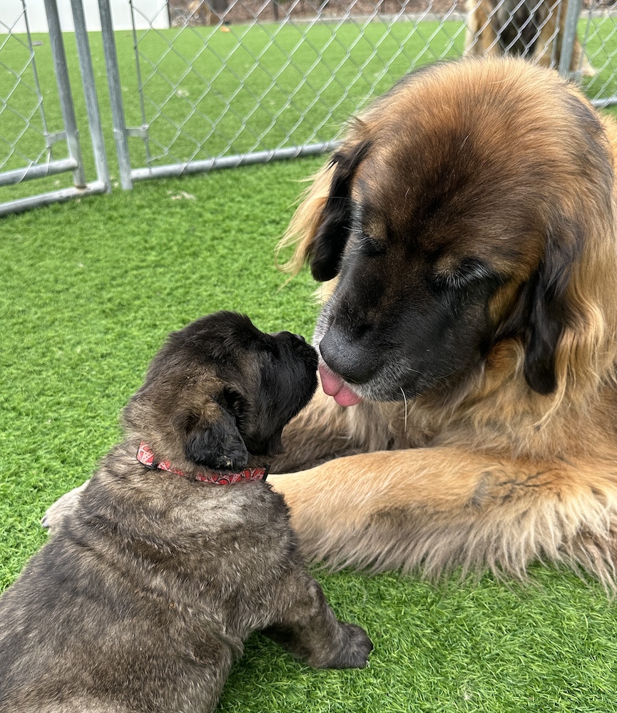 IMG_1964 for website IMG_1964 for website