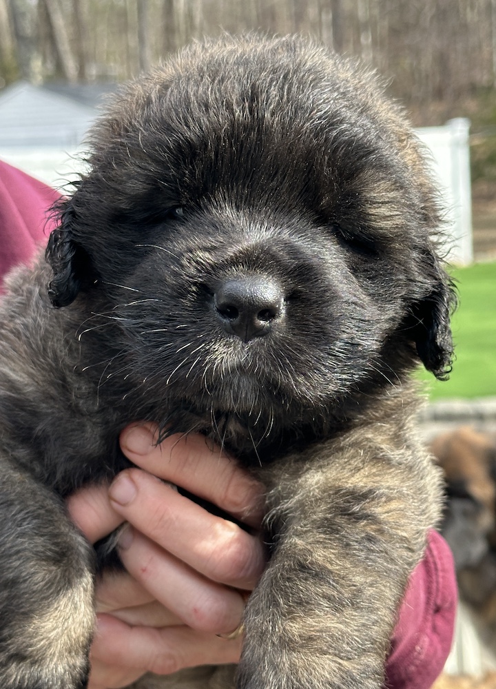 IMG_1976 for website IMG_1976 for website