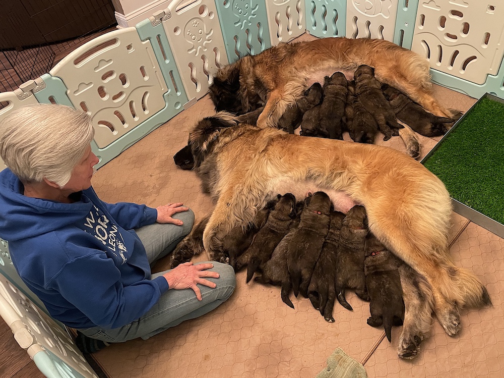 IMG_7903 for website IMG_7903 for website