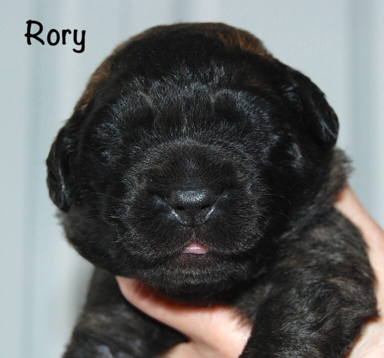 Rory with name for website