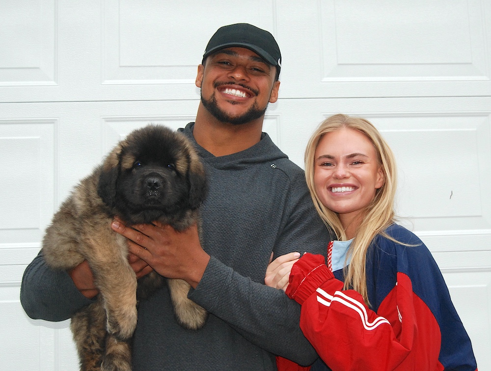 *Fant pick up for website