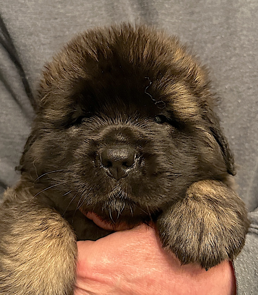 IMG_2056 for website IMG_2056 for website