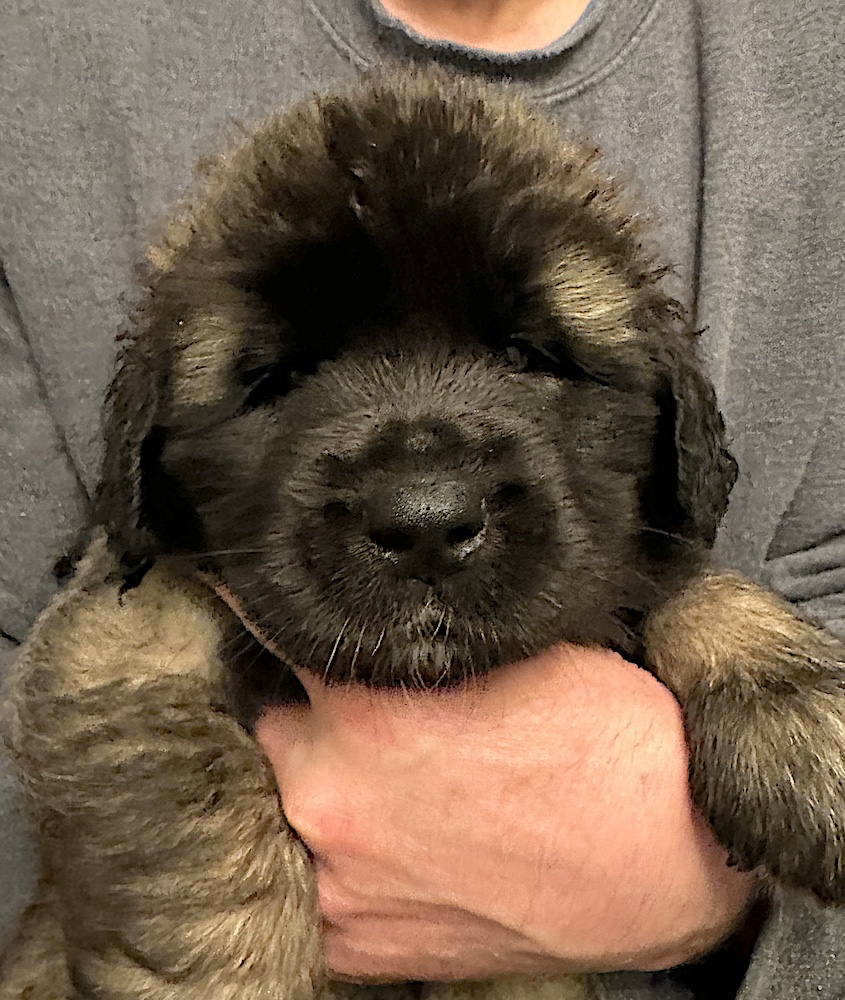 IMG_2060 for website IMG_2060 for website