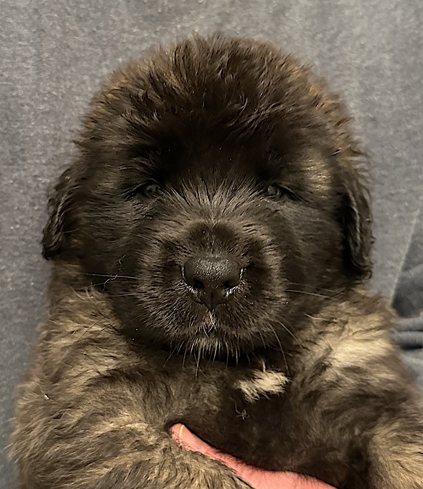 IMG_2074 for website IMG_2074 for website